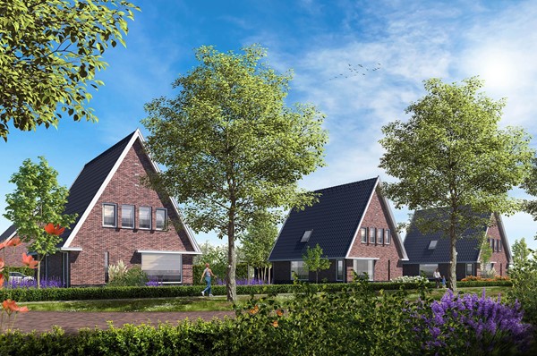 Bosplantsoen, 9354BC Zevenhuizen